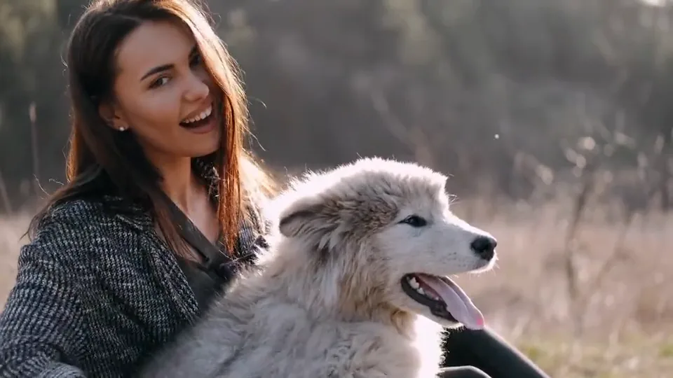 A woman brushing a fluffy white dog outside